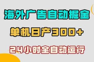 (18716期)海外广告自动掘金,单台电脑日产300+,小白可操作