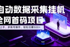 全自动数据采集挂G,全网首码项目,简单易操作,小白也能轻松上手,多账号操作,轻松日入500+【揭秘】