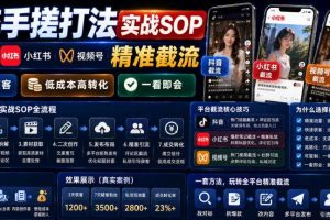 截流手搓打法实战SOP,抖音小红书视频号精准截流,快速获客,低成本高转化,一看即会