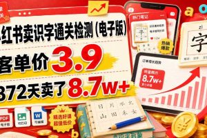 小红书卖识字通关检测（电子版），客单价3.9，372天卖了8.7w+