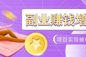 985十年互联网老兵亲测:2026年多个真实落地副业项目,手把手带你搭建被动收入管道(淘宝无人直播、TK拉新、代运营、CSGO……)【揭秘】