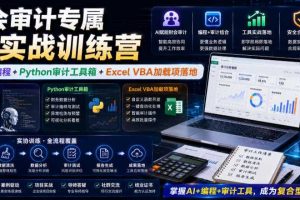 财会审计专属AI实战训练营|AI协同编程+Python审计工具箱+Excel VBA加载项落地(更新0816)