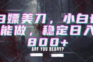 （20163期）白嫖美刀，小白也能做，稳定日入800+