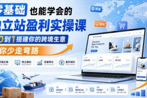 零基础也能学会的独立站盈利实操课,从0到1搭建你的跨境生意,帮你少走弯路