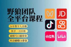 野狼团队2026新版全平台短视频带货教学,打开流量突破口,开始Ai带货(更新0903)