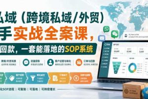 海外私域(跨境私域/外贸)操盘手实战全案课,从流量到回款,一套能落地的SOP系统