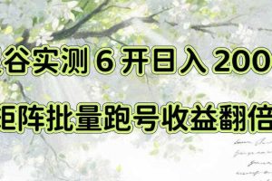 一台电脑就能做!灵谷实测6开日入200+,矩阵批量跑号收益翻倍【揭秘】