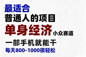 身经济小众赛道,一部手机就能干,每天搞个800-1000很轻松,最适合普通人的项目【揭秘】