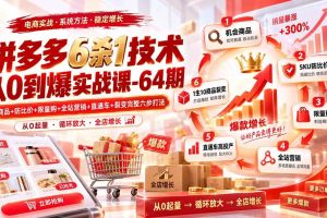(20315期)拼多多6杀1技术从0到爆实战课-64期:机会商品+防比价+限量购+全站营销+直通车+裂变完整六步打法