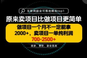 一单利润700-2.5K+,为什么我们要卖项目而不是做项目,我们普通人应该怎样开始?【揭秘】