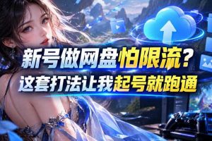 新号做网盘怕限流?这套打法让我起号就跑通,网盘项目推广的8.0版本教学