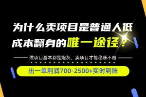 普通人如何靠互联网賺取自己的第一桶金!全类目实操型教学,看完你全都懂了!【揭秘】