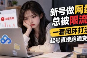 新号做网盘总被限流？一套闭环打法，起号直接跑通变现