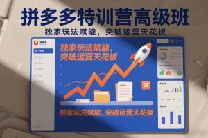 拼多多特训营高阶班,独家玩法赋能,突破运营天花板(更新261029)