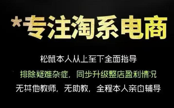 松鼠会电商VIP课程,从基础布局到高阶优化,助你掌握淘宝运营逻辑,提升店铺流量与转化(更新1029)